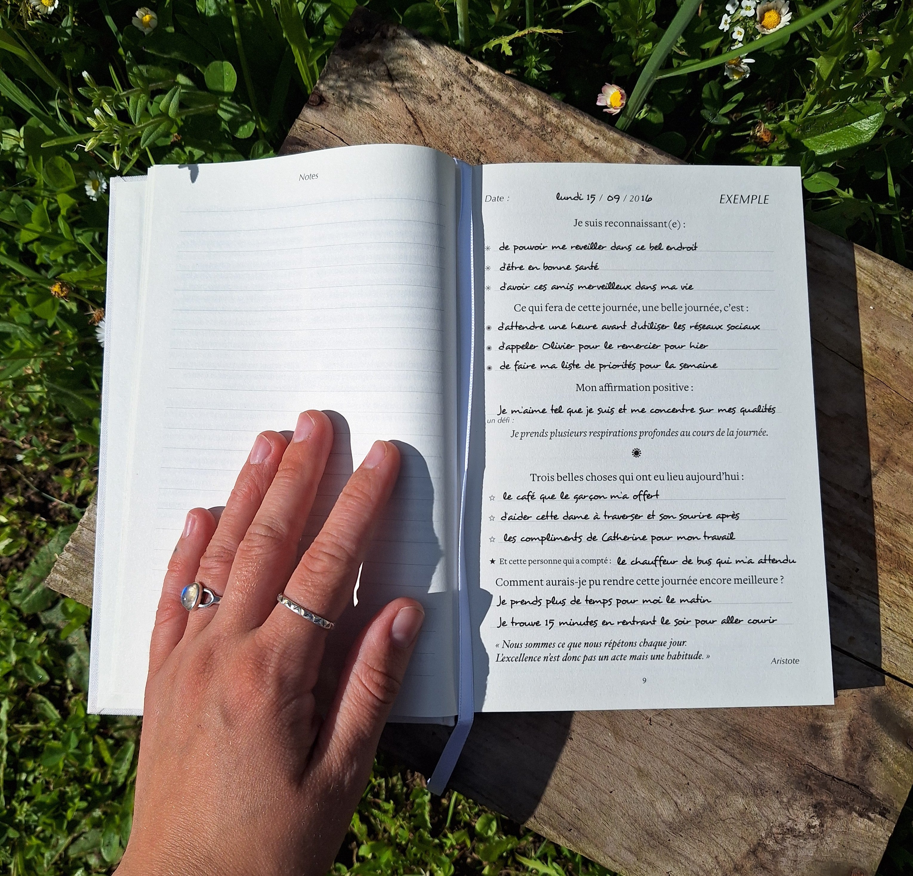 Journal de gratitude