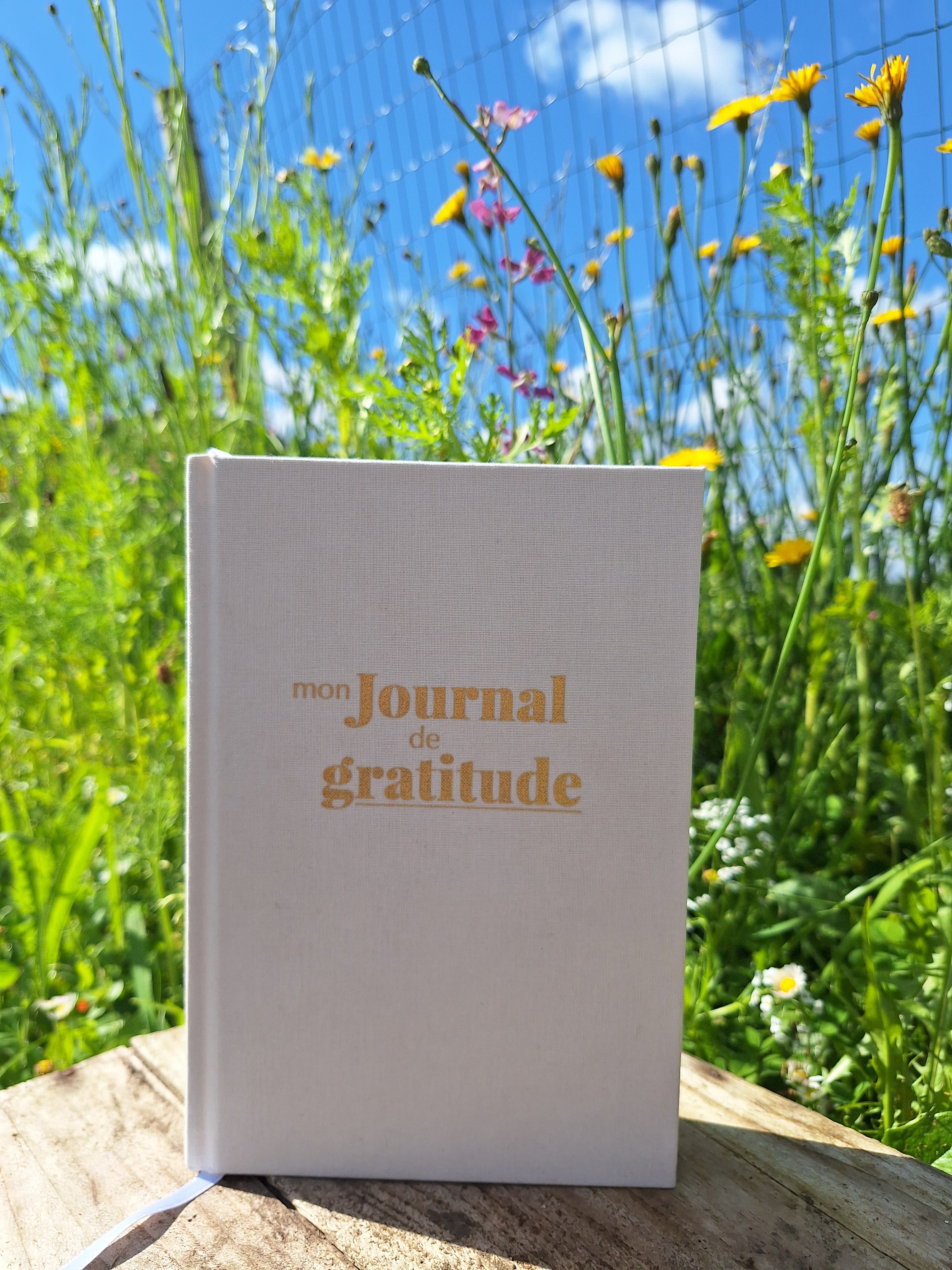 Journal de gratitude
